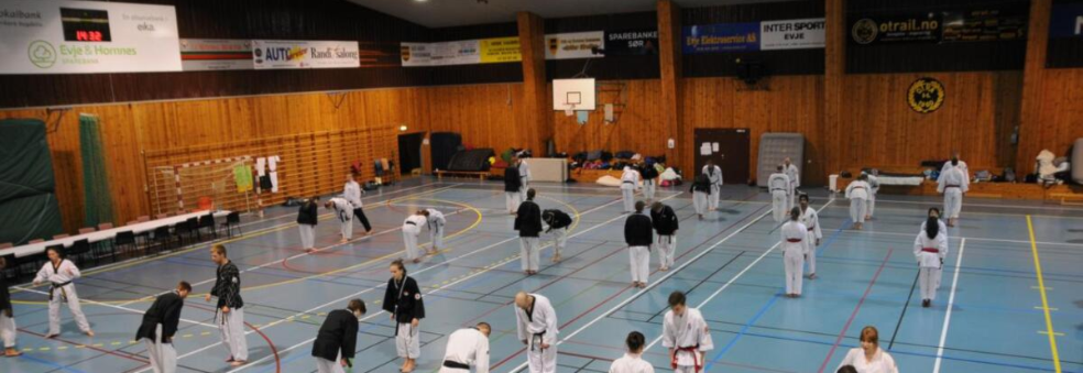 Evje Taekwondoklubb